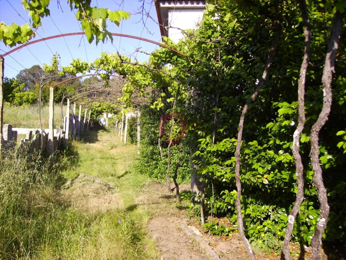 Moradia T3 para Venda em Mazedo e Cortes Foto 13