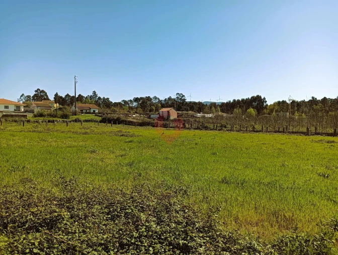 Moradia T3 para Venda em Mazedo e Cortes Foto 17