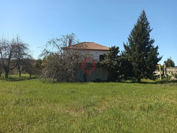 Moradia T3 para Venda em Mazedo e Cortes Foto 12