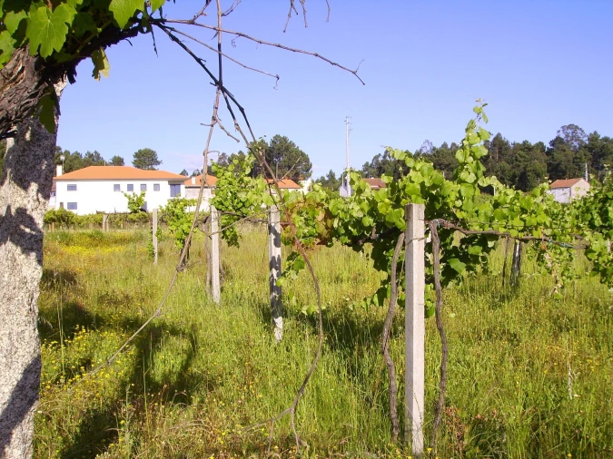 Moradia T3 para Venda em Mazedo e Cortes Foto 14