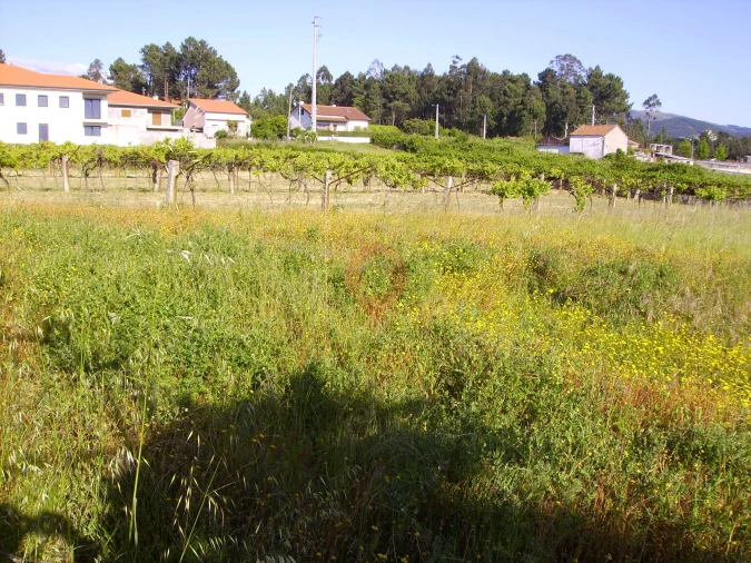 Moradia T3 para Venda em Mazedo e Cortes Foto 16