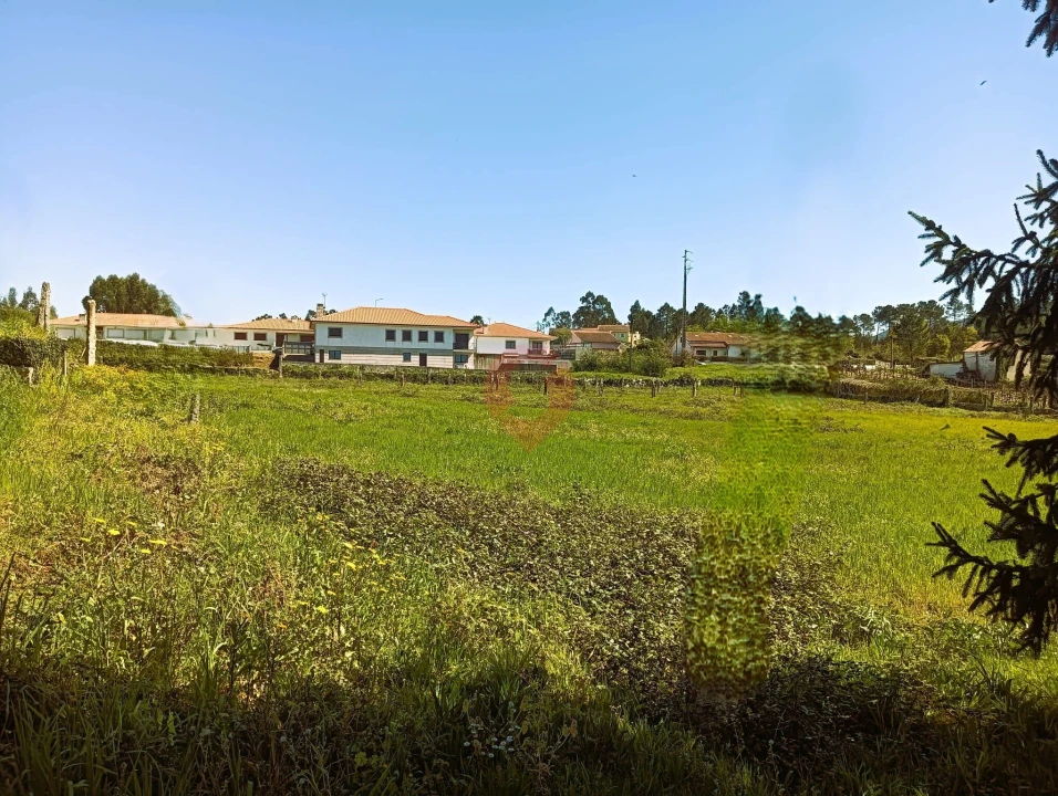 Moradia T3 para Venda em Mazedo e Cortes Foto 18