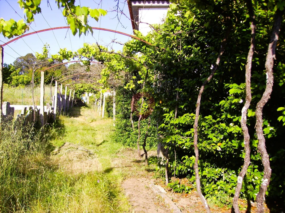 Moradia T3 para Venda em Mazedo e Cortes Foto 12