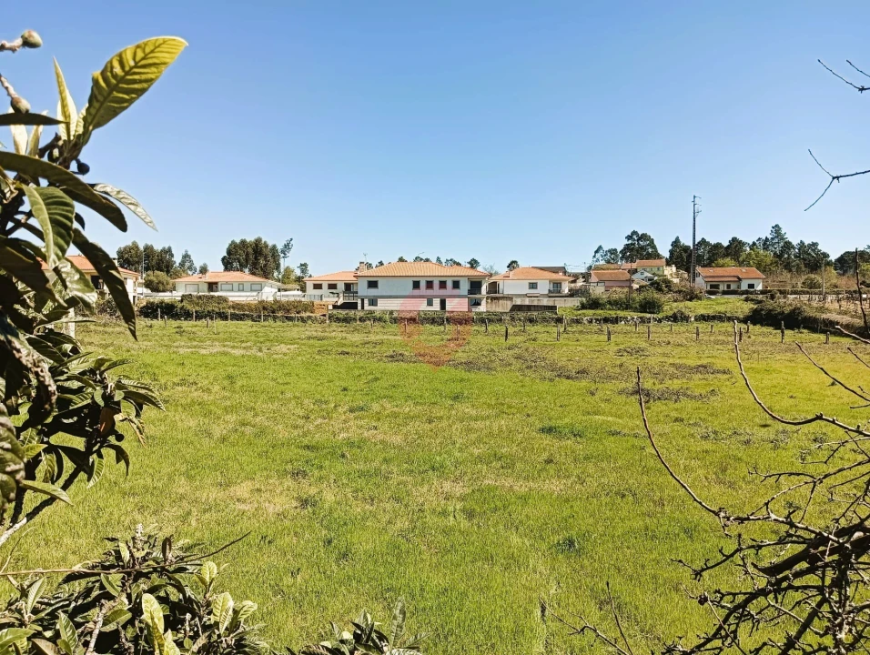 Moradia T3 para Venda em Mazedo e Cortes Foto 16