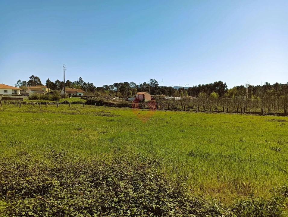 Moradia T3 para Venda em Mazedo e Cortes Foto 17