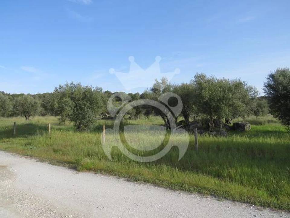 Terreno para Venda em Corval Foto 2