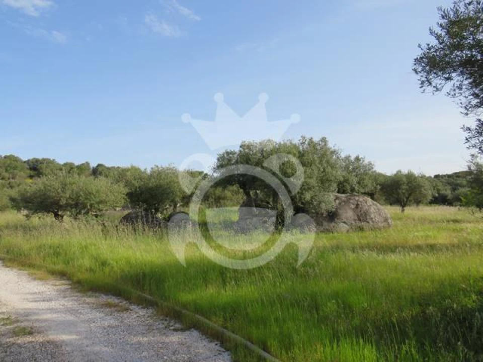 Terreno para Venda em Corval Foto 7