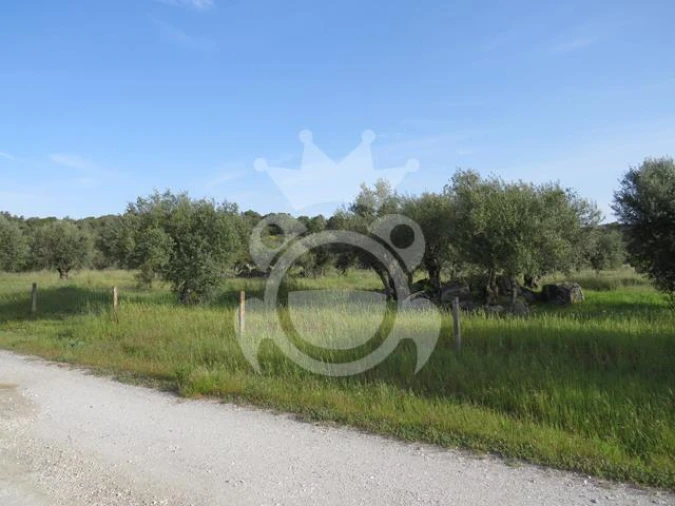 Terreno para Venda em Corval Foto 2