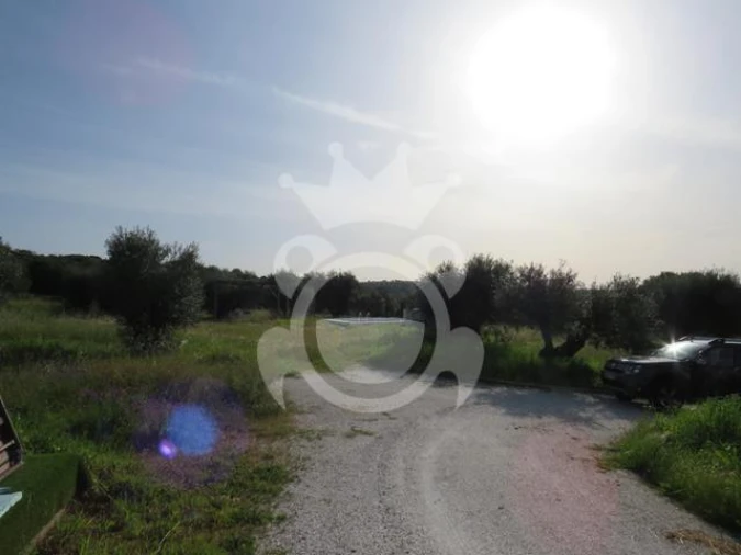 Terreno para Venda em Corval Foto 17