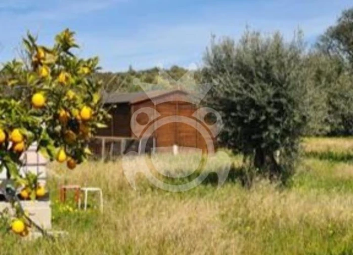 Terreno para Venda em Corval Foto 12