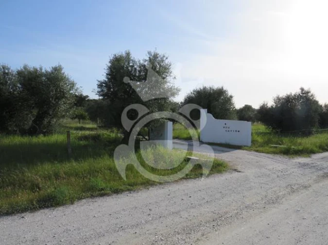 Terreno para Venda em Corval Foto 3