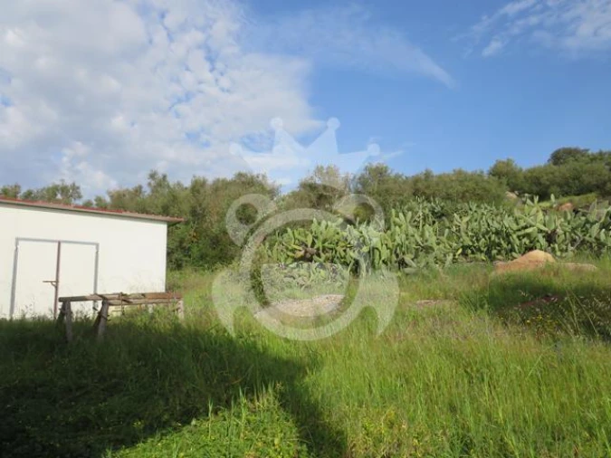 Terreno para Venda em Corval Foto 15