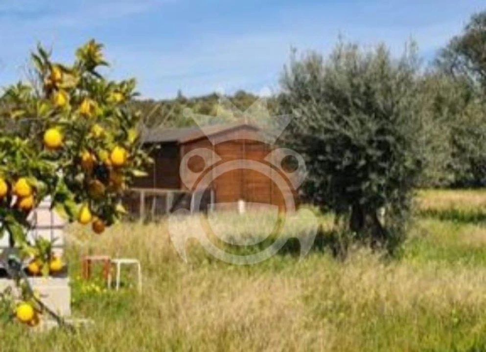 Terreno para Venda em Corval Foto 12