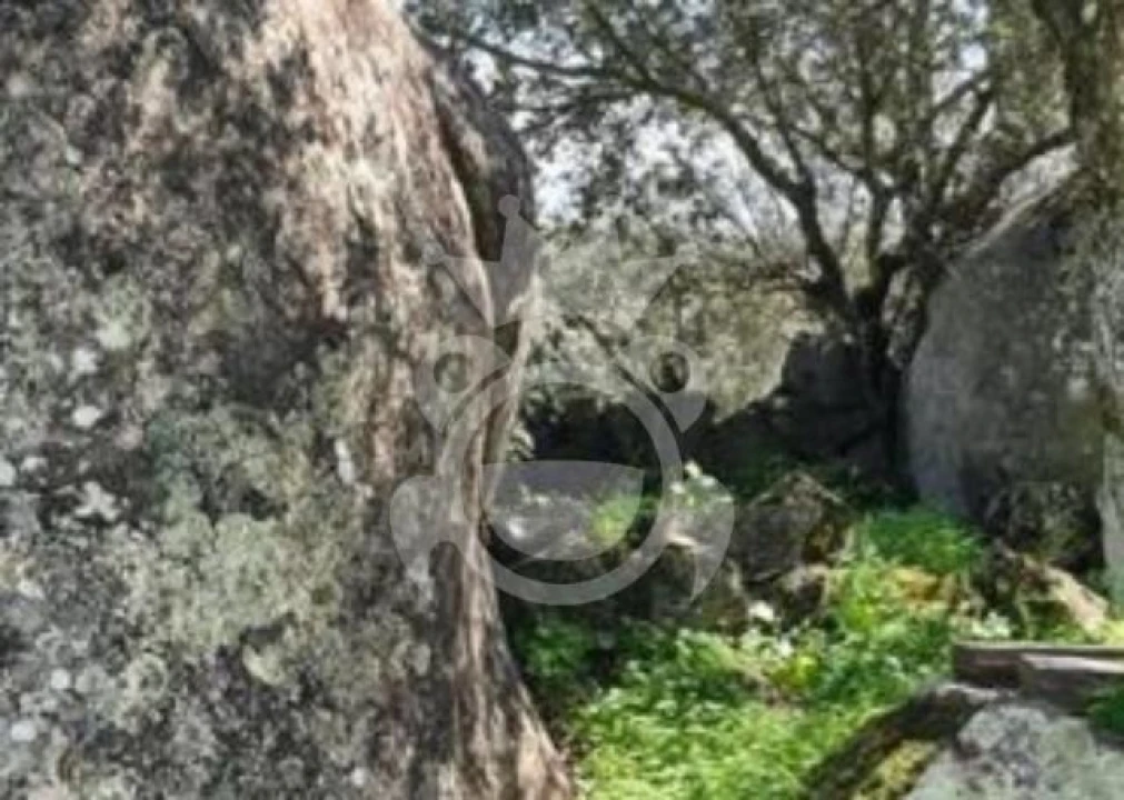 Terreno para Venda em Corval Foto 20