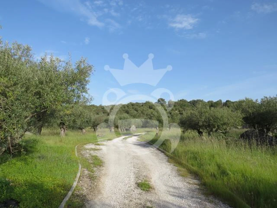 Terreno para Venda em Corval Foto 8