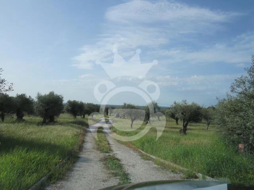 Terreno para Venda em Corval Foto 19
