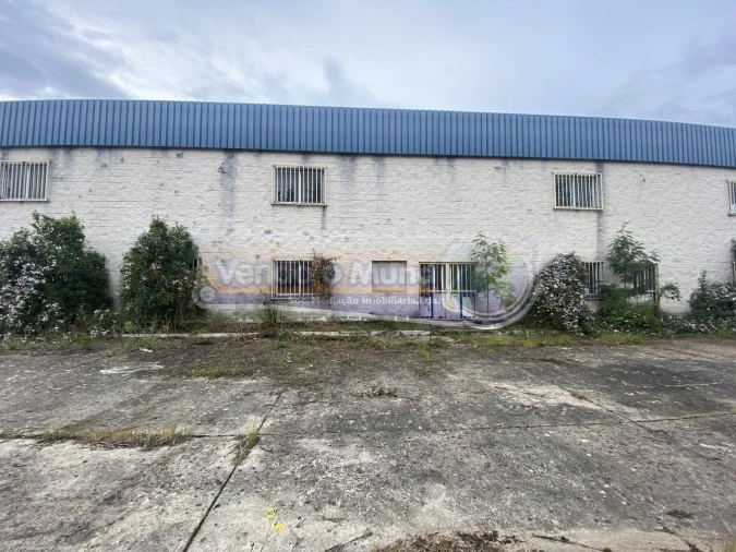 Armazém para Venda em Mora Foto 3