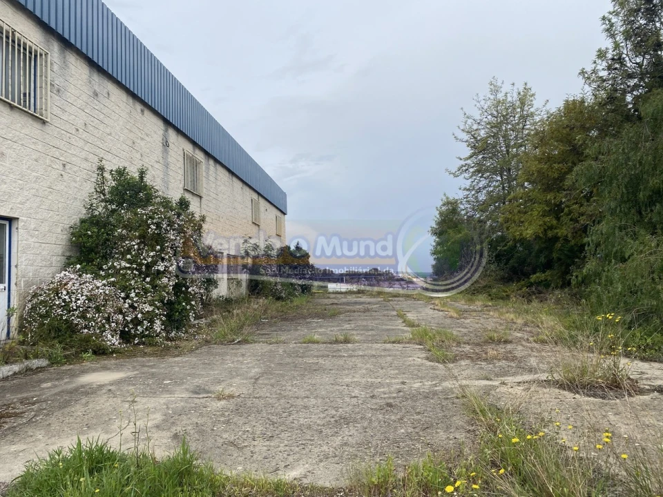 Armazém para Venda em Mora Foto 4