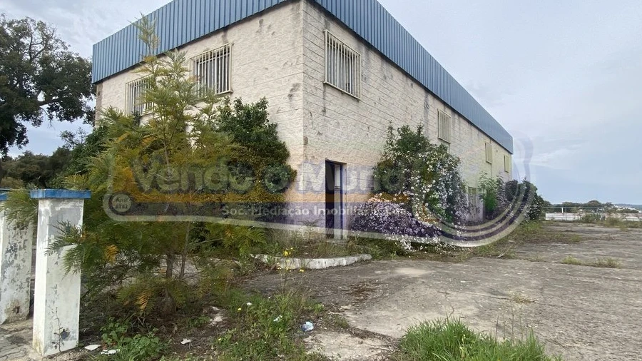 Armazém para Venda em Mora