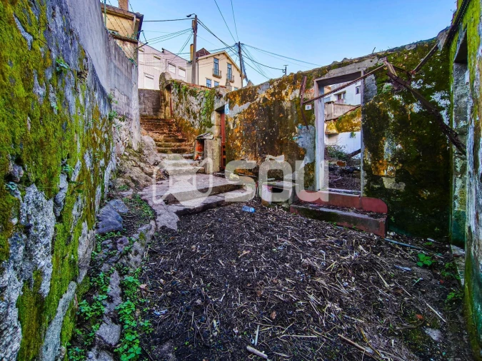 Terreno para Venda em Oliveira do Douro Foto 3
