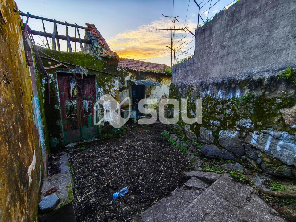 Terreno para Venda em Oliveira do Douro Foto 2
