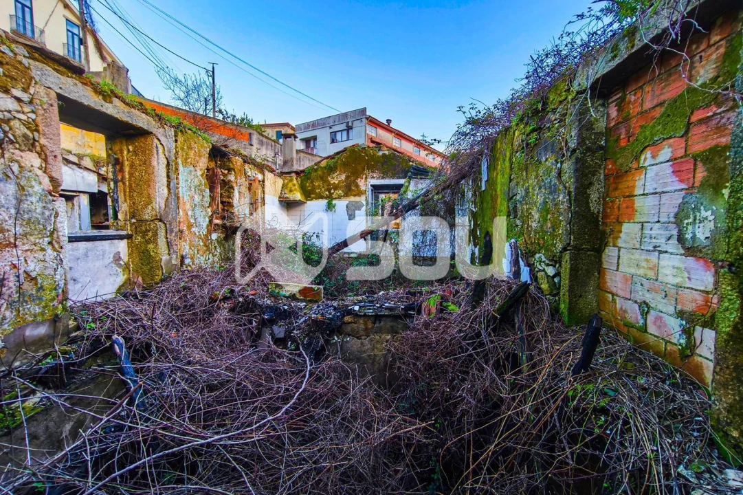 Terreno para Venda em Oliveira do Douro Foto 5