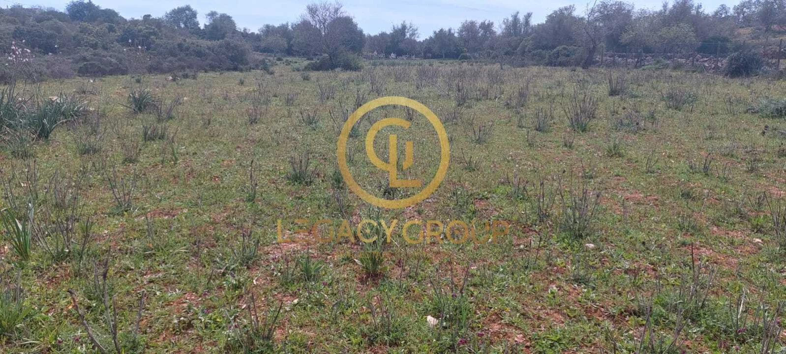 Terreno para Venda em Guia Foto 13