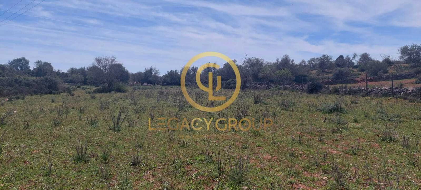 Terreno para Venda em Guia Foto 18