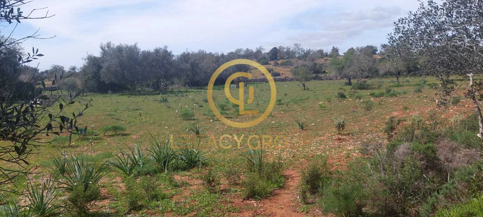 Terreno para Venda em Guia Foto 8