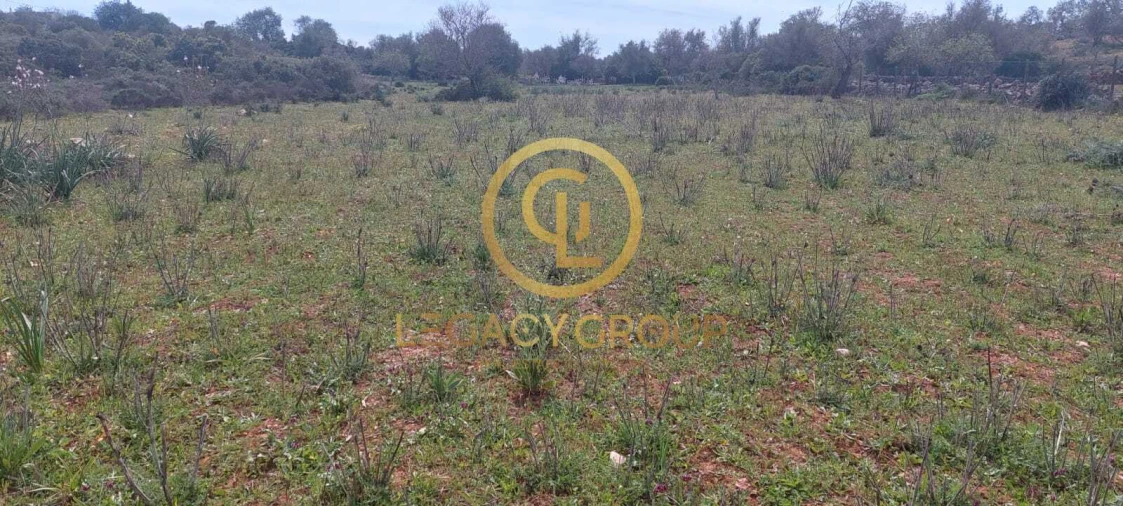 Terreno para Venda em Guia Foto 13