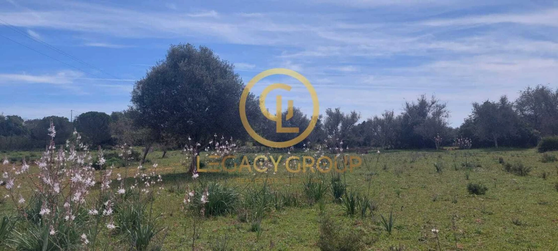 Terreno para Venda em Guia Foto 20