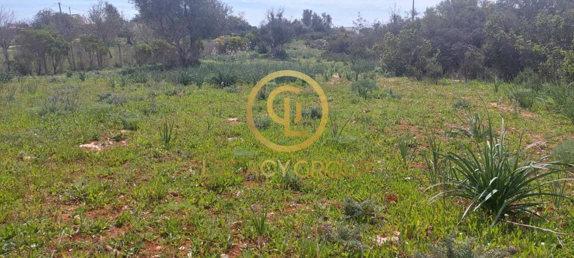 Terreno para Venda em Guia Foto 5