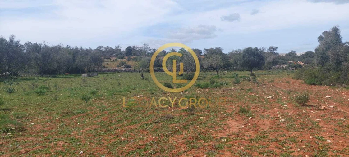 Terreno para Venda em Guia Foto 9