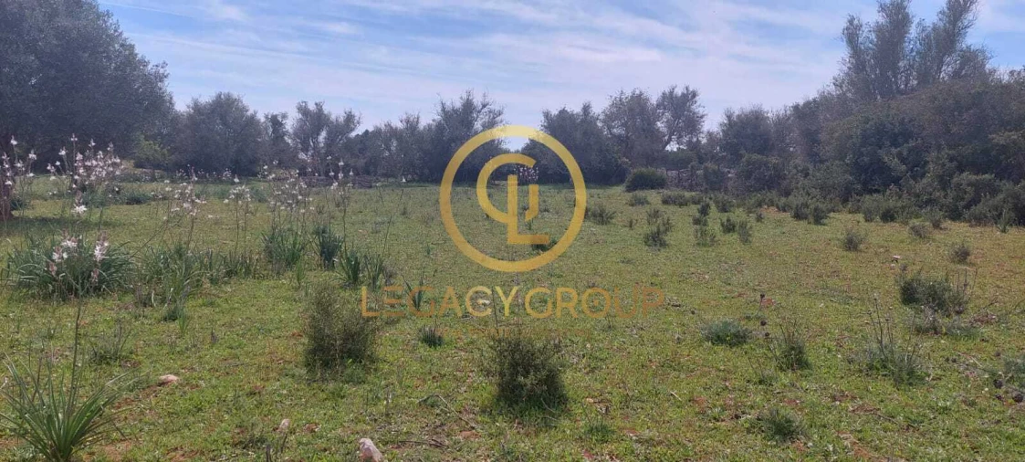 Terreno para Venda em Guia Foto 19