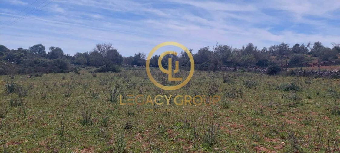 Terreno para Venda em Guia Foto 11