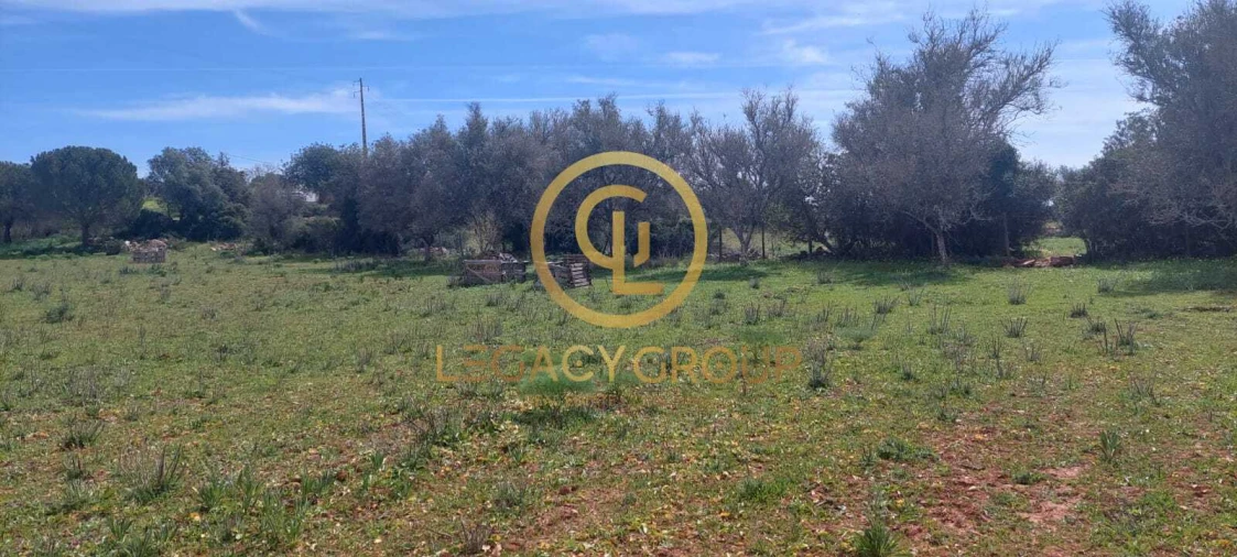 Terreno para Venda em Guia Foto 1