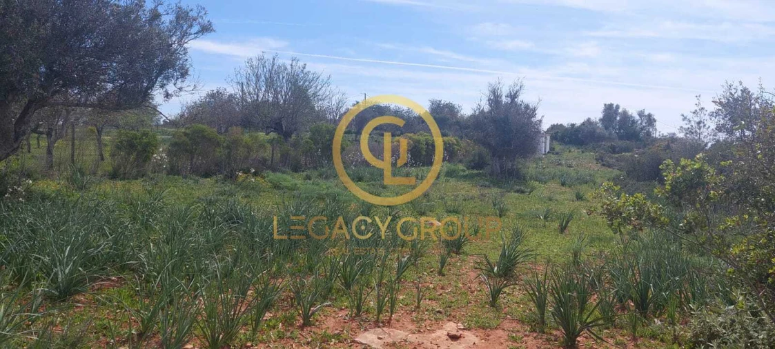 Terreno para Venda em Guia Foto 7