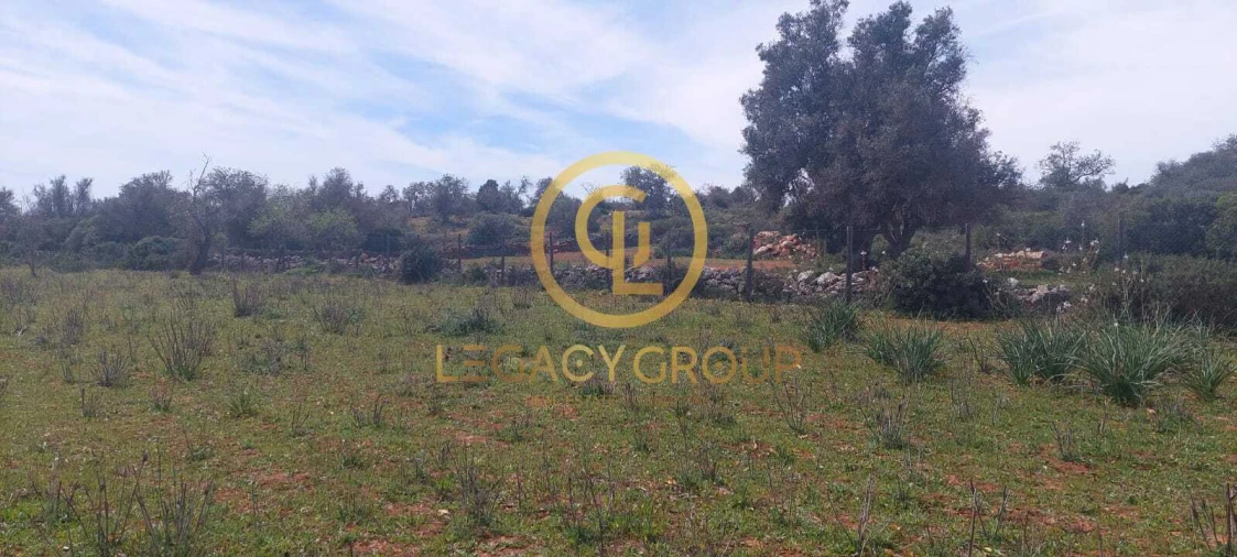 Terreno para Venda em Guia Foto 12