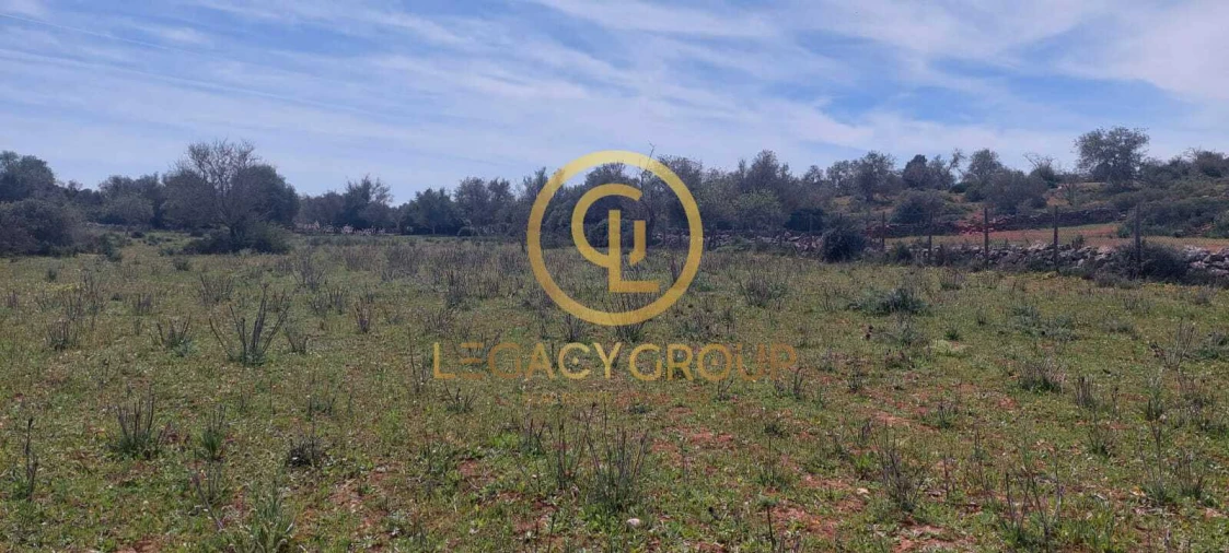 Terreno para Venda em Guia Foto 17