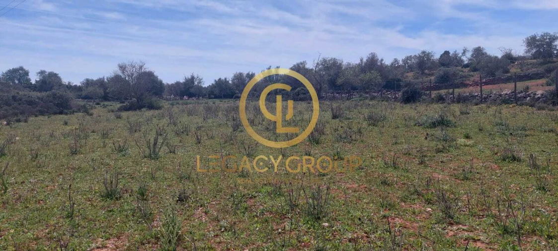 Terreno para Venda em Guia Foto 15