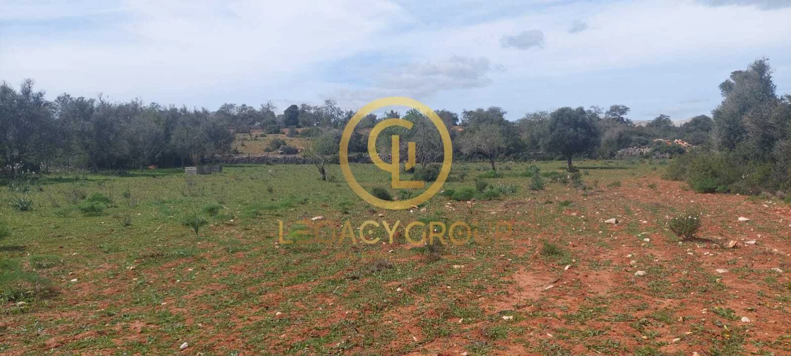 Terreno para Venda em Guia Foto 9