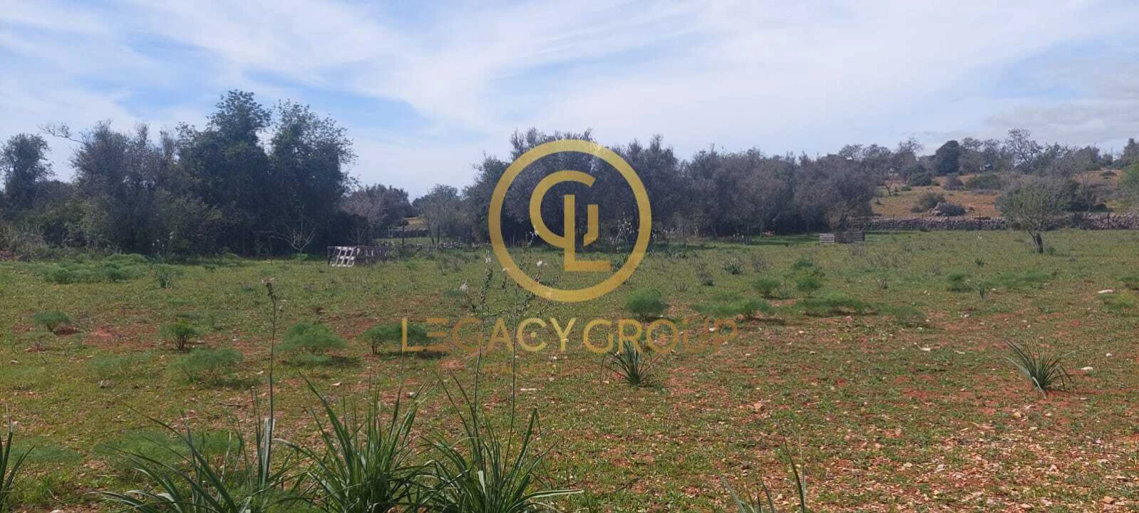 Terreno para Venda em Guia Foto 10