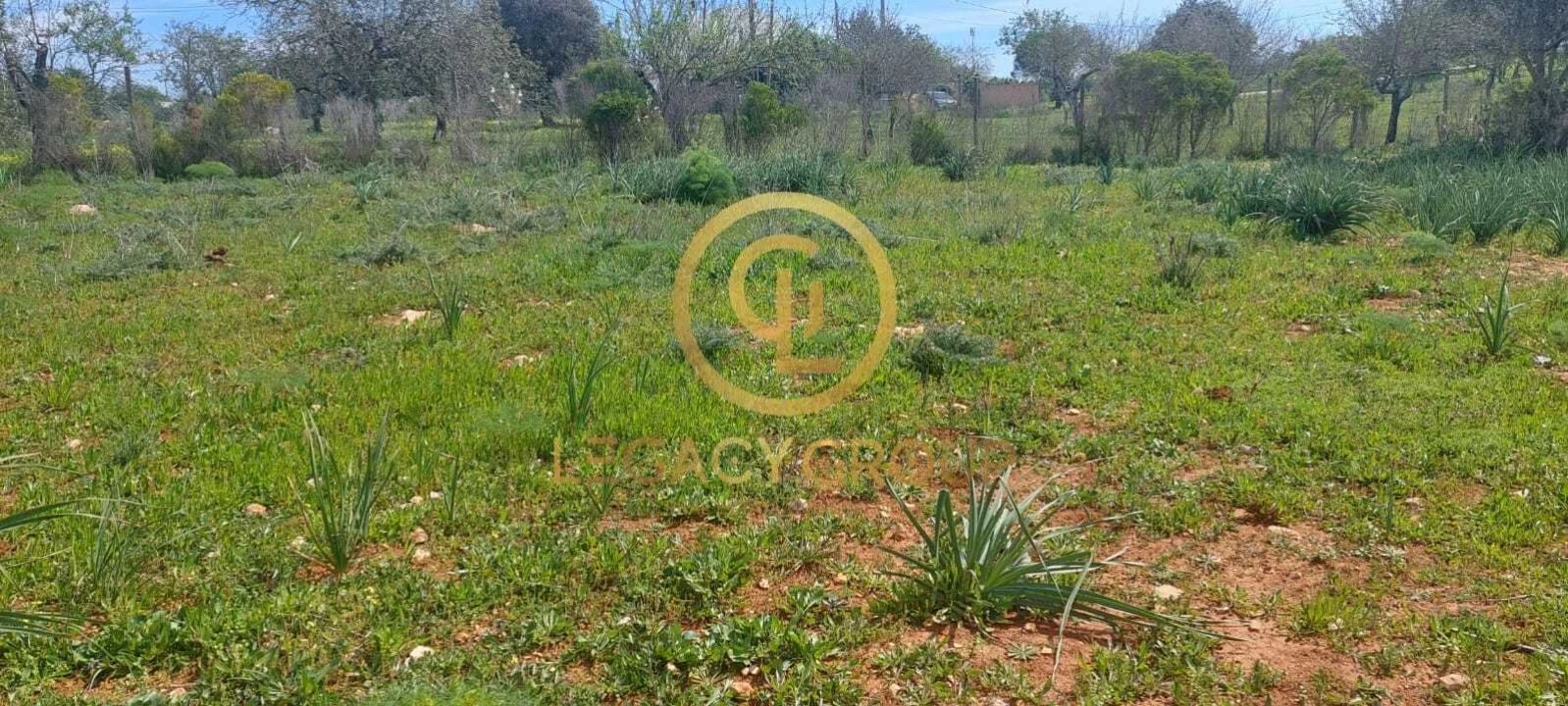 Terreno para Venda em Guia Foto 6