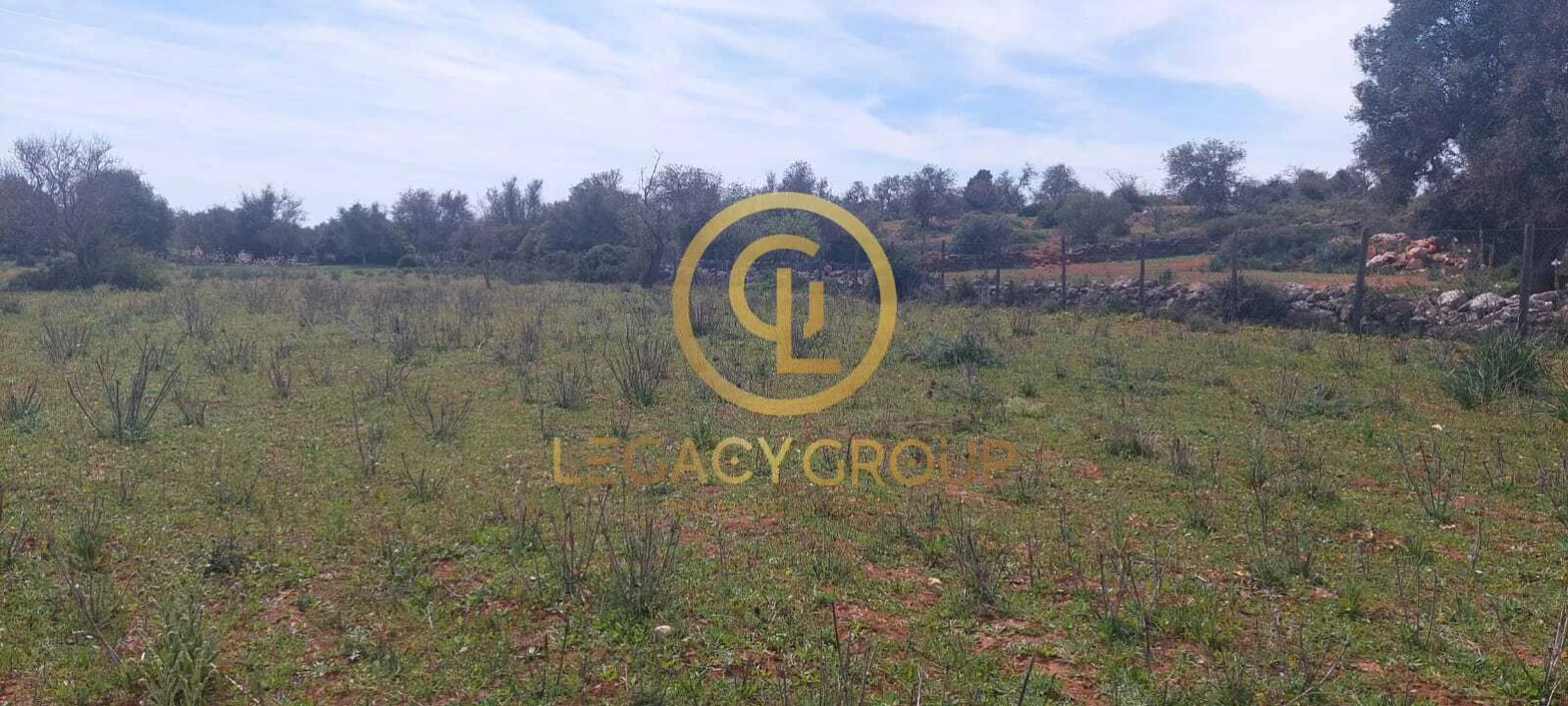 Terreno para Venda em Guia Foto 14