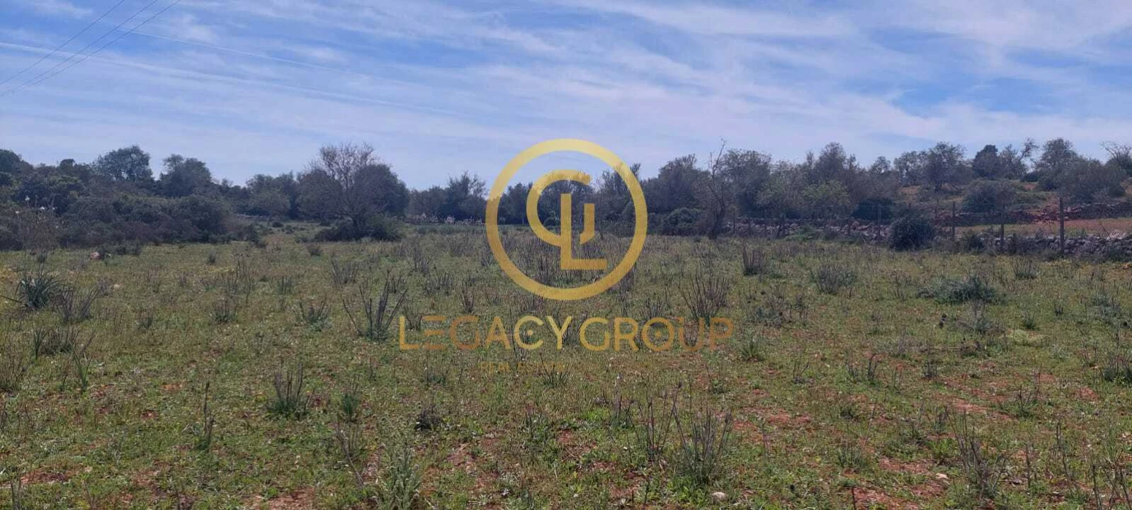 Terreno para Venda em Guia Foto 11