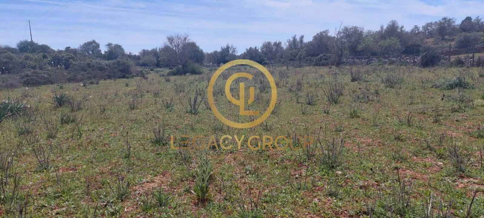 Terreno para Venda em Guia Foto 16