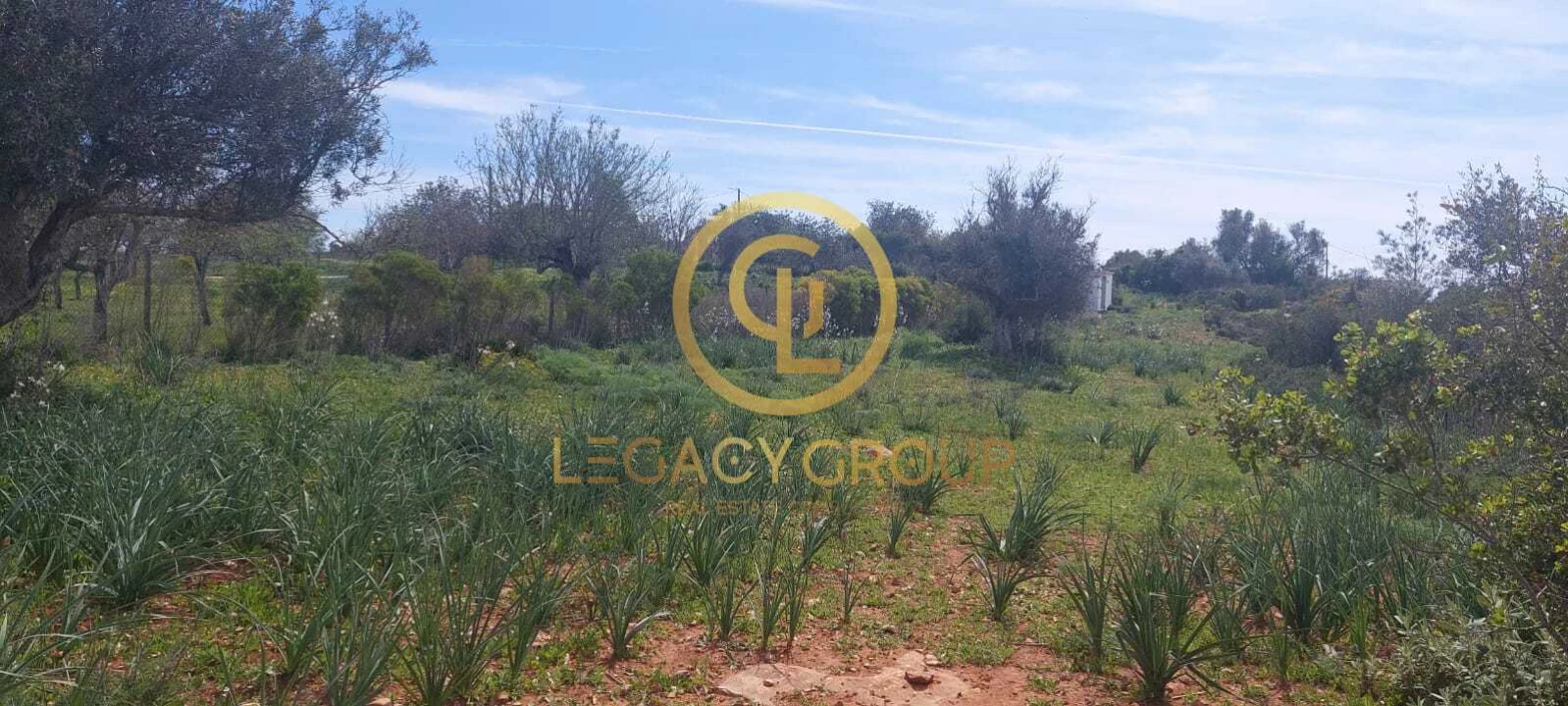 Terreno para Venda em Guia Foto 7