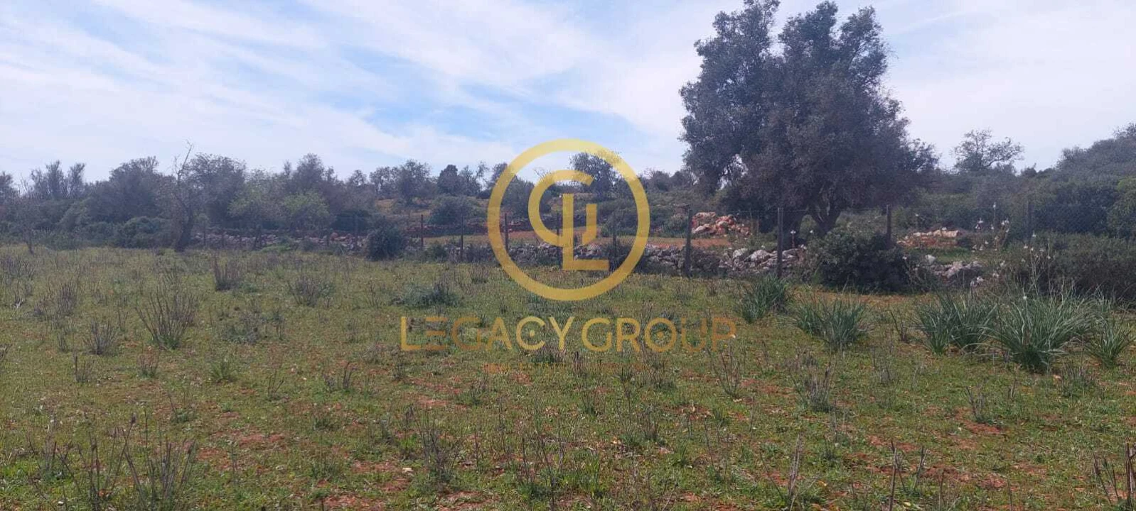 Terreno para Venda em Guia Foto 12