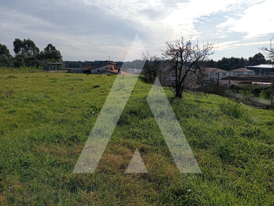 Moradia T2 para Venda em Oiã Foto 36