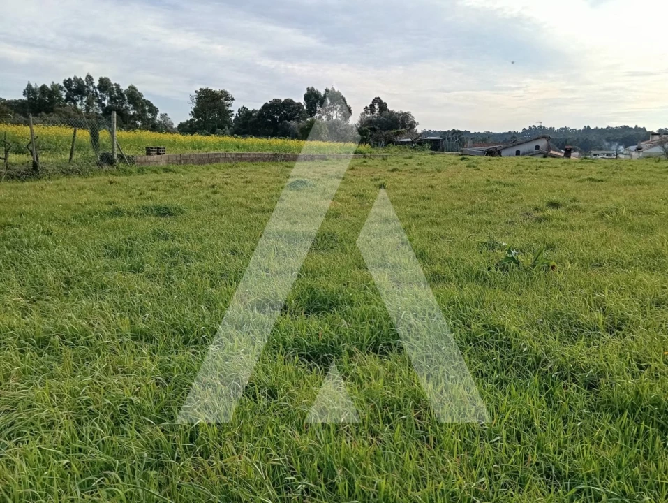 Moradia T2 para Venda em Oiã Foto 37